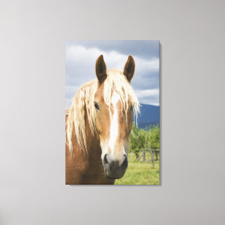 Light Brown Horse Leinwanddruck