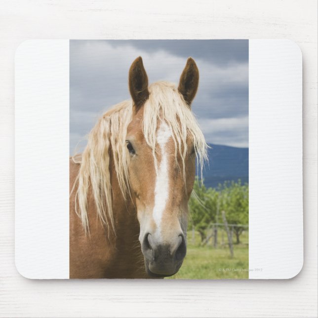 Light Brown Horse Mousepad (Vorne)
