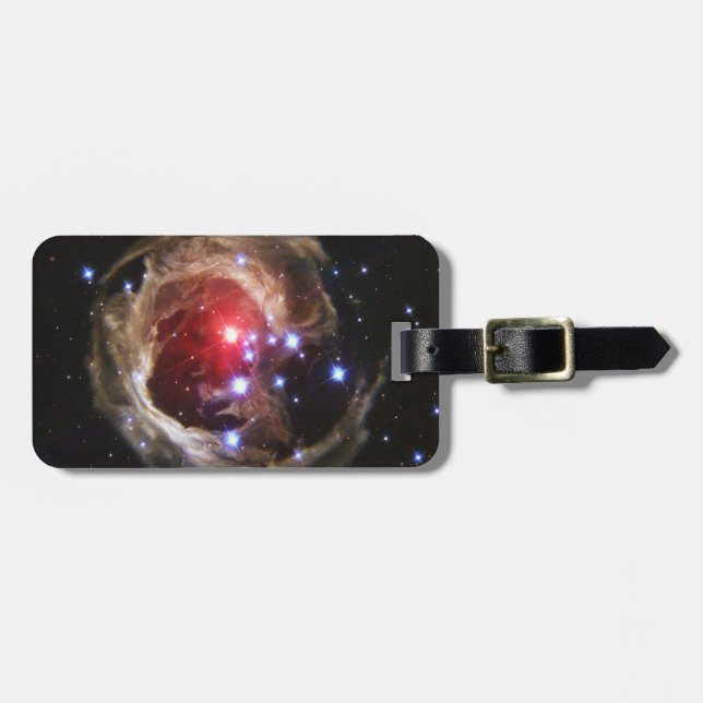 Light Echo Luggage Tag Gepäckanhänger (Vorderseite horizontal)