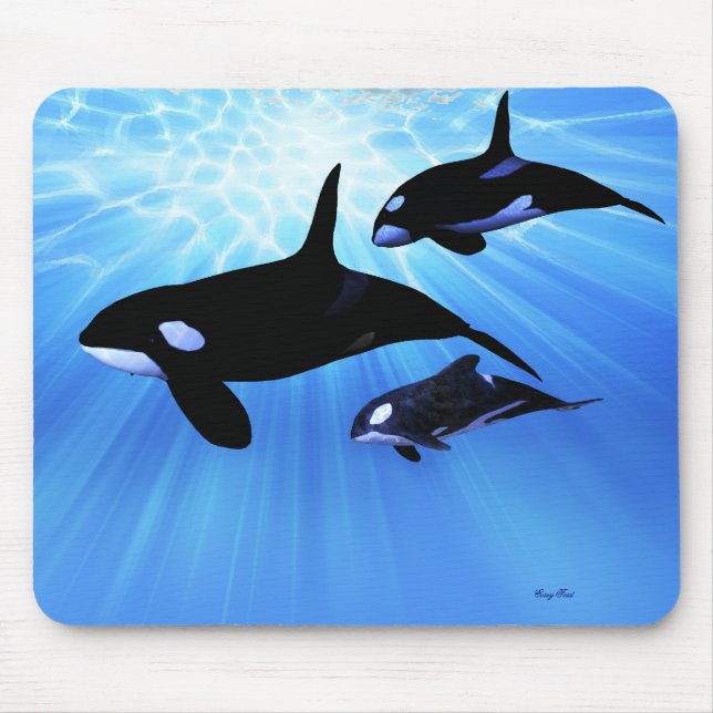 LIGHT ECHO MOUSEPAD (Vorne)