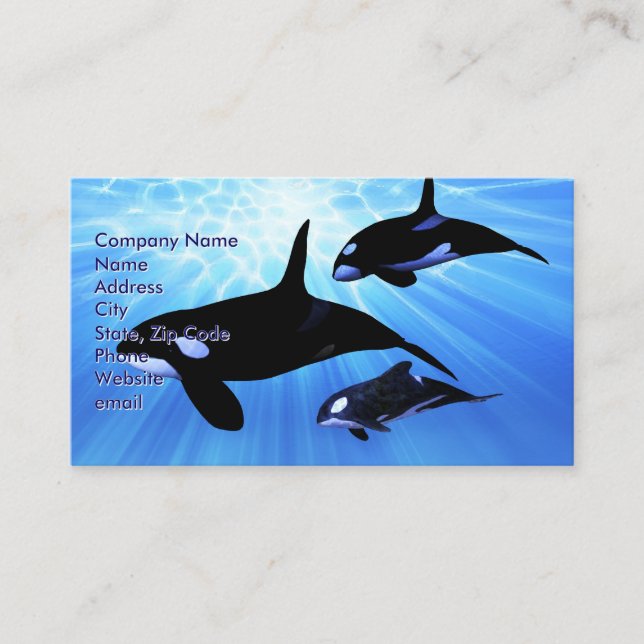 Light Echo Visitenkarte (Vorderseite)