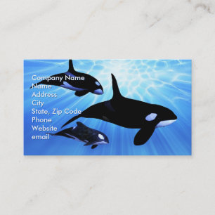 Light Echo Visitenkarte