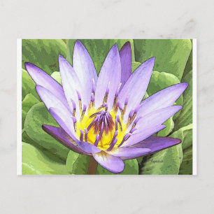 Light in the heart of the lotus postkarte