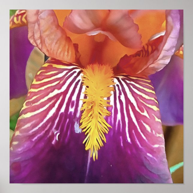 Light Iris Macro Artistic Abstrakt Poster (Vorne)