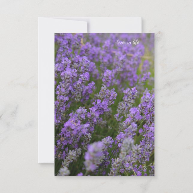 Light Lavender Pflanze Mitteilungskarte (Vorderseite)