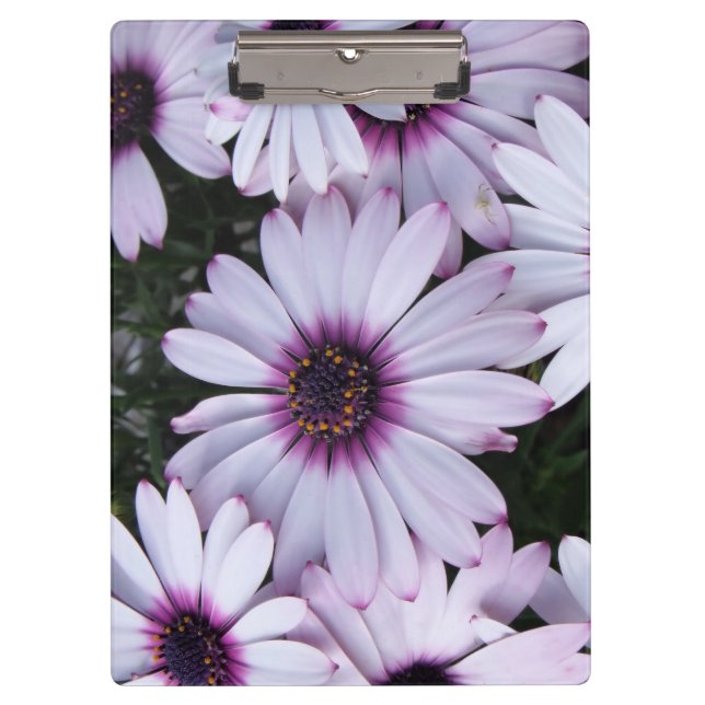 Light Lila Blooms Bouquet Klemmbrett (Vorderseite)