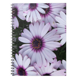 Light Lila Blooms Bouquet Notizblock