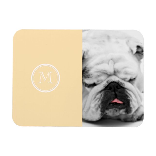 Light Peach High End farbig Magnet (Horizontal)