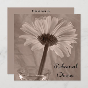 Light Pink Gerber Daisy Probe Dinner Einladung