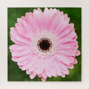 Light Pink Gerbera Daisy Floral Puzzle