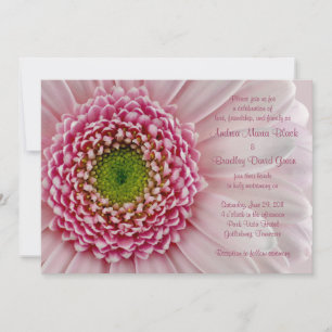 Light Pink Gerbera Wedding Einladung