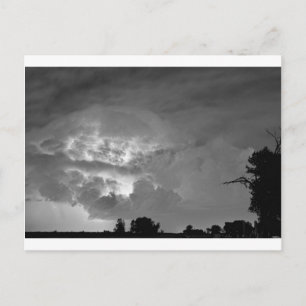 Light Show Black and White Postkarte