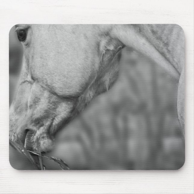 Lightly Dun Dapples - Mousepad (Vorne)