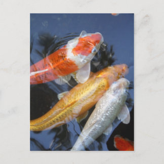 lightner's 042 postkarte