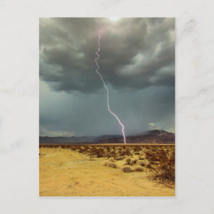 Lightning Joshua Tree Color Postkarte