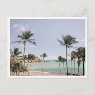 Lihue Kauai Palmen Hawaii Foto Grußkarte Postkarte