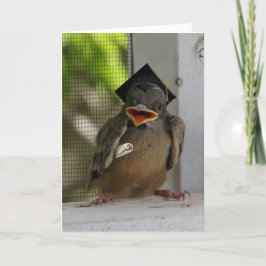 Lil Birdie, Happy lächelnd Bird, Abschluss Feiertagskarte