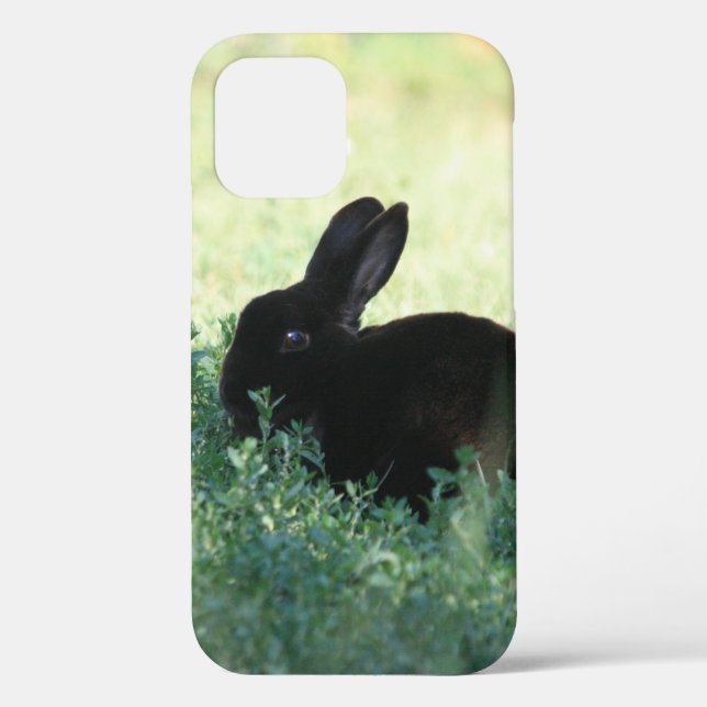 Lil Black Bunny Case-Mate iPhone Hülle (Rückseite)