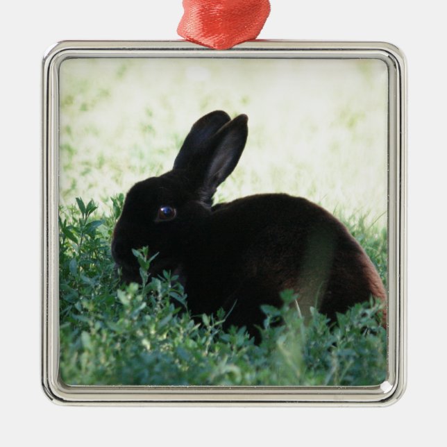 Lil Black Bunny Ornament Aus Metall (Vorne)