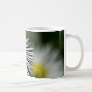 Li'l Daisy Tasse