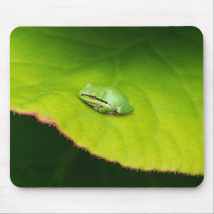 Lil Frosch Mousepad