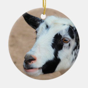 Lil goat keramik ornament