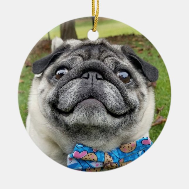 Lil Pickles Da Mops Ornament (Vorne)