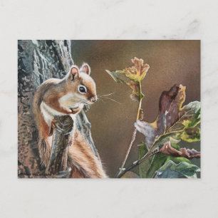 Lil Red Squirrel Eiche Eiche Herbst Wasserfarbe Ku Postkarte