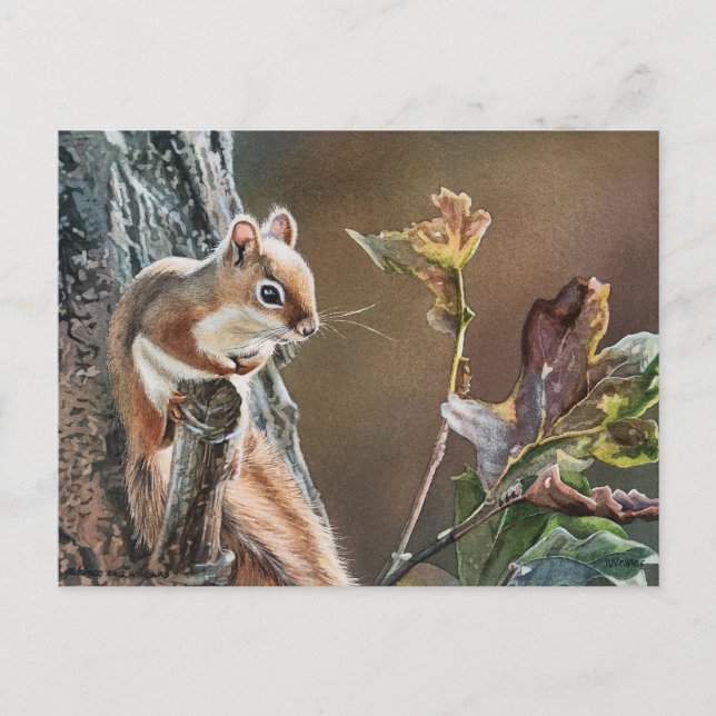 Lil Red Squirrel Eiche Eiche Herbst Wasserfarbe Ku Postkarte (Vorderseite)