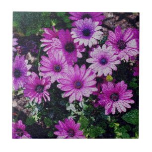 Lila afrikanische Daisies Floral Art Fliese