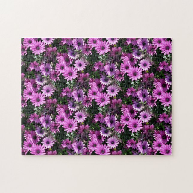 Lila afrikanische Daisy-Blume Natur Puzzle (Horizontal)