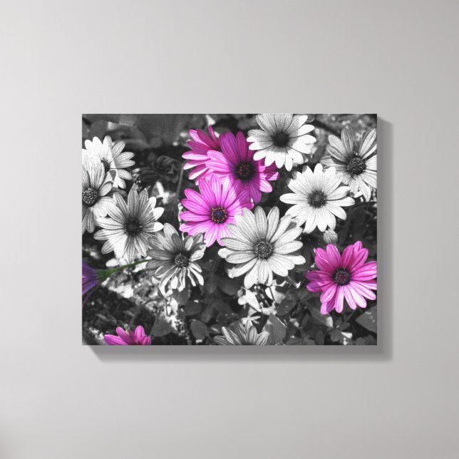 Lila afrikanische Daisy-Blume - teilweise Farbe Leinwanddruck (Vorderseite)