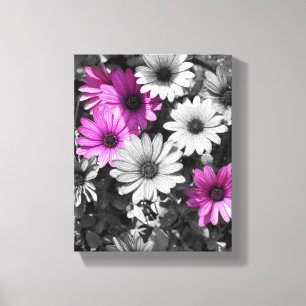 Lila afrikanische Daisy-Blume - teilweise Farbe Leinwanddruck