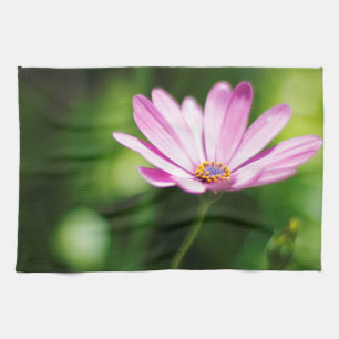 Lila Afrikanische Gänseblümchen-Fotografie Handtuch
