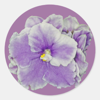 Lila afrikanische Violette Runder Aufkleber