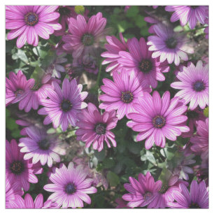 Lila afrikanisches Daisy-Blume Naturblumenmuster Stoff