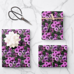 Lila afrikanisches Daisy-Blume Naturmuster Geschenkpapier Set