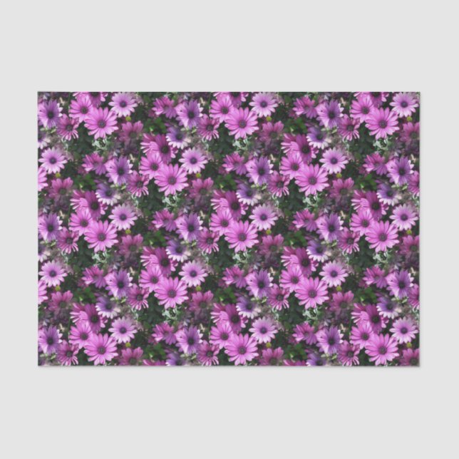 Lila afrikanisches Daisy-Blume Naturmuster Seidenpapier (Vorderseite)