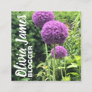 Lila Allium Blume Blumenfotografie Quadratische Visitenkarte