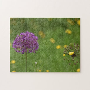 Lila Allium Blume Naturfotografie Garten Puzzle
