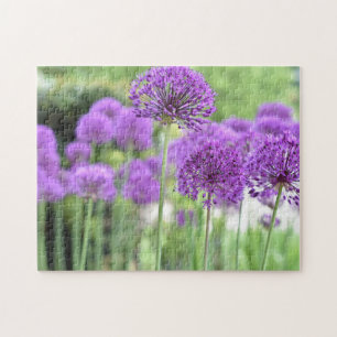 Lila Allium Blume Naturfotografie Garten Puzzle