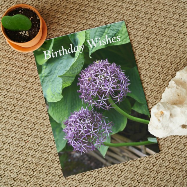 Lila Allium Floral Birthday Karte (In Situ)