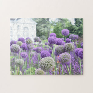Lila Allium Garden Kew Gardens London Vereinigtes  Puzzle