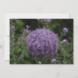 lila alliumale Blume - Flachgrüßkarte Karte