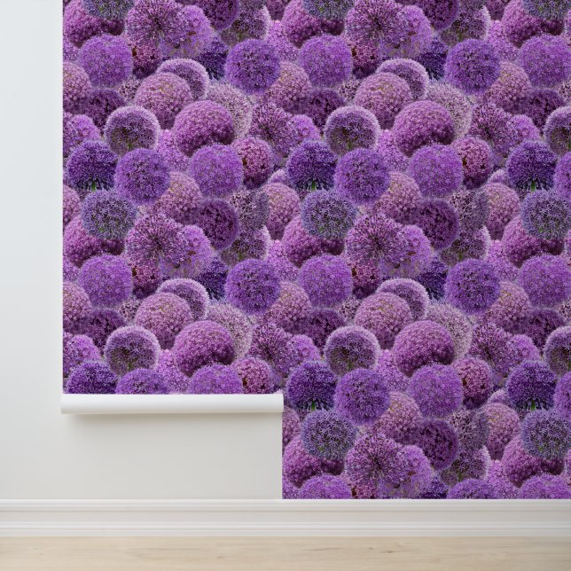 Lila Alliums Tapete (Anwendung)