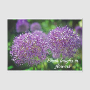 Lila Angebot für Blume Seidenpapier