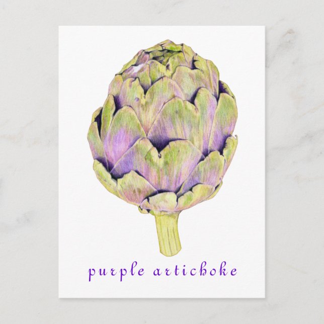 Lila Artichoke Postkarte (Vorderseite)