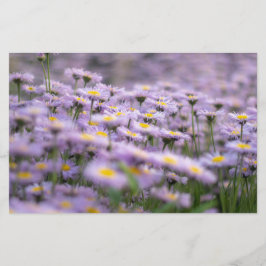 Lila Aster-Blume Briefpapier