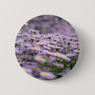 Lila Aster-Blume Button