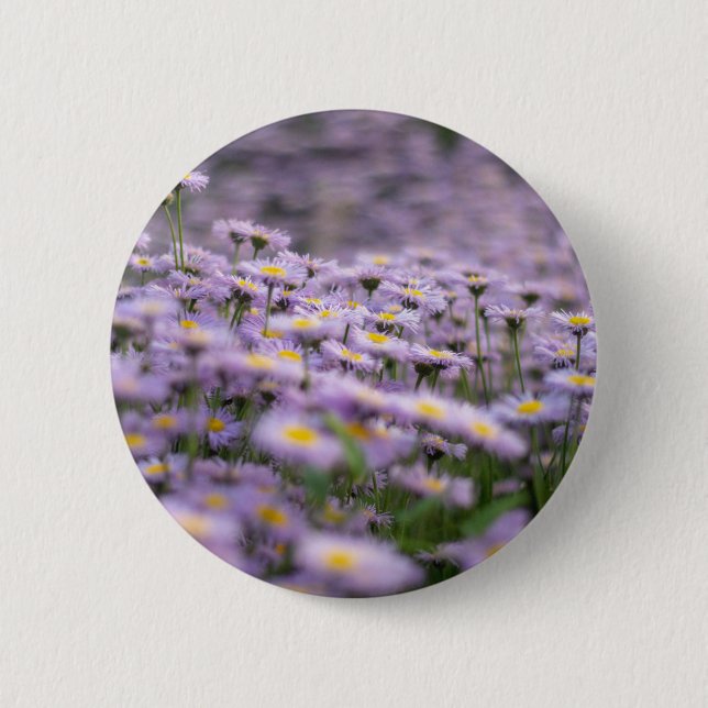 Lila Aster-Blume Button (Vorderseite)